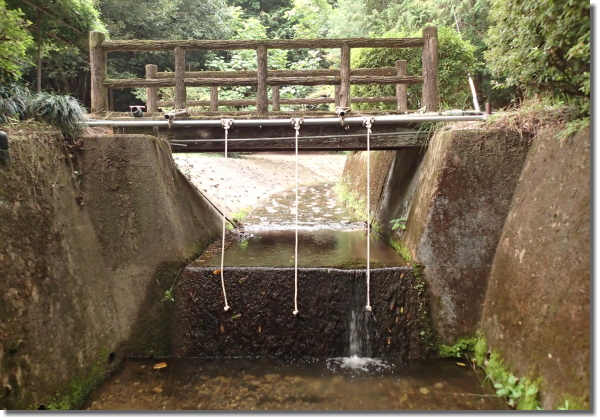 ���V�сA��V�сA���߂�A�������̏W�A���R�L�����v��